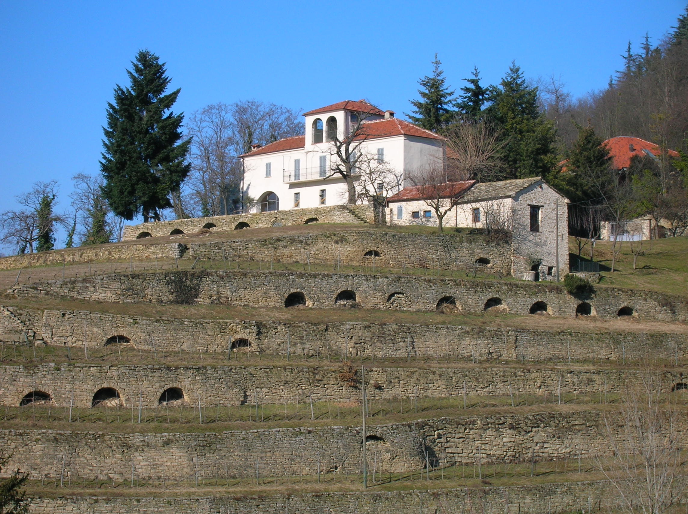 9 Terrazze in pietra a secco attorno a Monte Oliveto Cortemilia Alta Langa Foto Ecomuseo Regionale dei Terrazzamenti Cortemilia